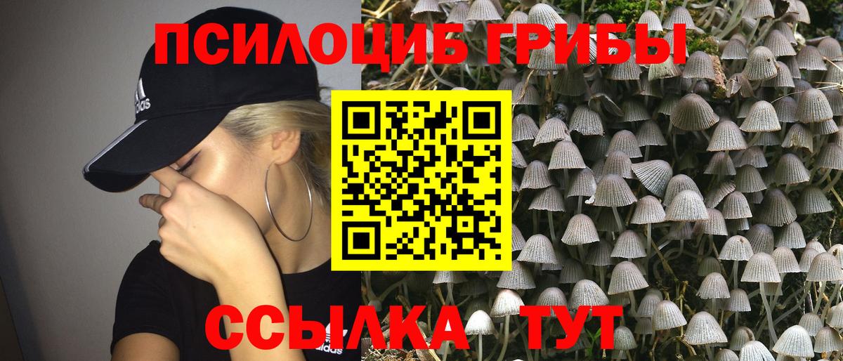 Галлюциногенные грибы прущие грибы  магазин продажи наркотиков  Псилоцибиновые грибы Cubensis  Ростов Великий  Вход с VPN 